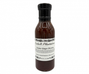 Sesame Ginger Dressing